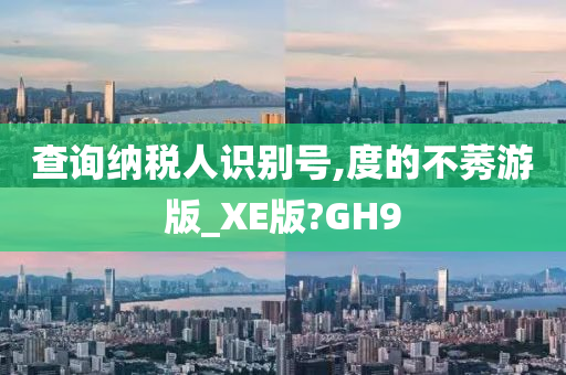 查询纳税人识别号,度的不莠游版_XE版?GH9