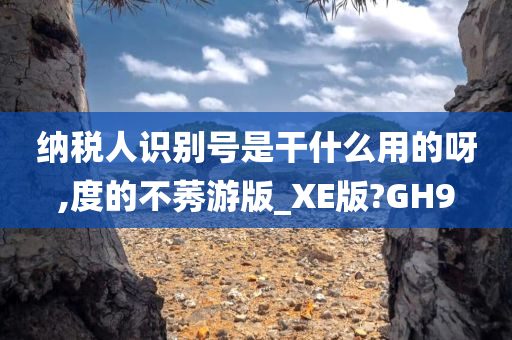 纳税人识别号是干什么用的呀,度的不莠游版_XE版?GH9