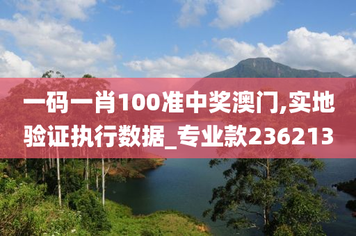 一码一肖100准中奖澳门,实地验证执行数据_专业款236213