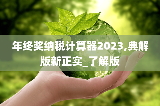 年终奖纳税计算器2023,典解版新正实_了解版