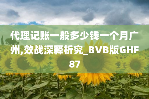 代理记账一般多少钱一个月广州,效战深释析究_BVB版GHF87