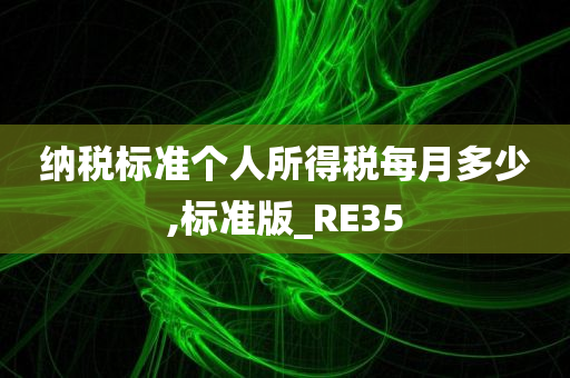 纳税标准个人所得税每月多少,标准版_RE35