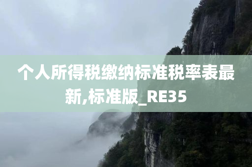 个人所得税缴纳标准税率表最新,标准版_RE35