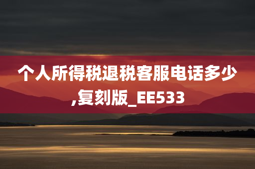 个人所得税退税客服电话多少,复刻版_EE533