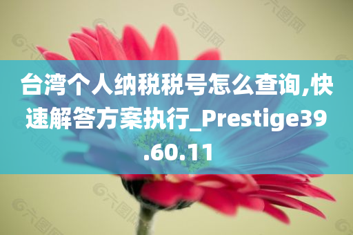 台湾个人纳税税号怎么查询,快速解答方案执行_Prestige39.60.11