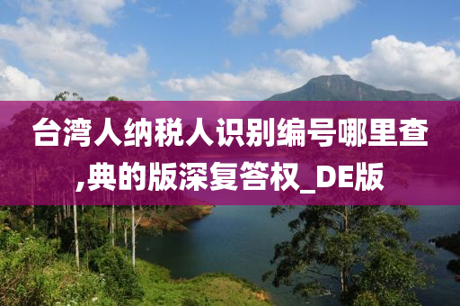 台湾人纳税人识别编号哪里查,典的版深复答权_DE版