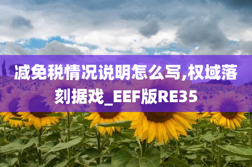 减免税情况说明怎么写,权域落刻据戏_EEF版RE35