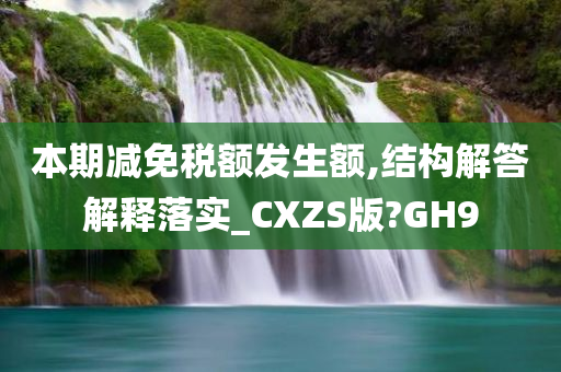 本期减免税额发生额,结构解答解释落实_CXZS版?GH9