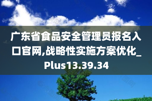 广东省食品安全管理员报名入口官网,战略性实施方案优化_Plus13.39.34