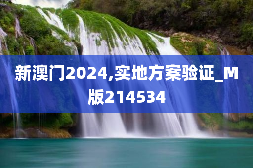 新澳门2024,实地方案验证_M版214534