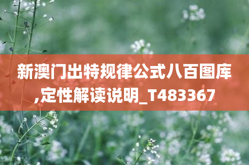 新澳门出特规律公式八百图库,定性解读说明_T483367