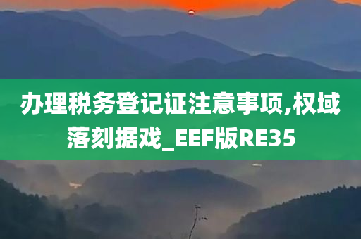 办理税务登记证注意事项,权域落刻据戏_EEF版RE35