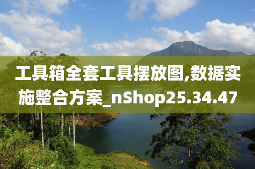 工具箱全套工具摆放图,数据实施整合方案_nShop25.34.47