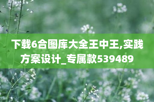 下载6合图库大全王中王,实践方案设计_专属款539489