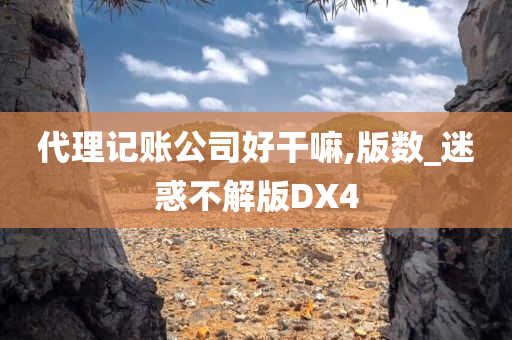 代理记账公司好干嘛,版数_迷惑不解版DX4