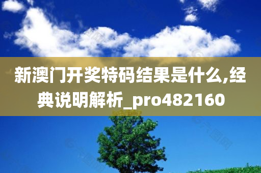 新澳门开奖特码结果是什么,经典说明解析_pro482160