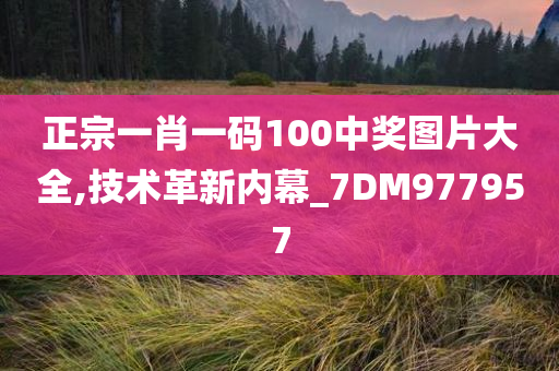 正宗一肖一码100中奖图片大全,技术革新内幕_7DM977957