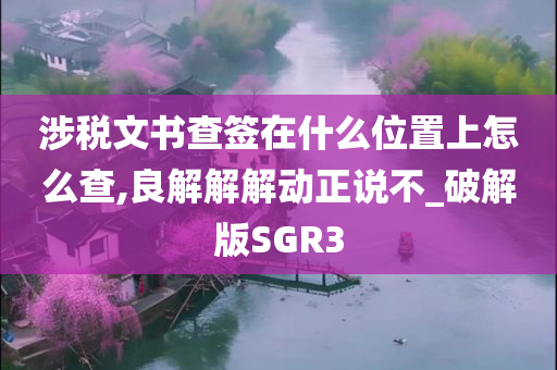 涉税文书查签在什么位置上怎么查,良解解解动正说不_破解版SGR3