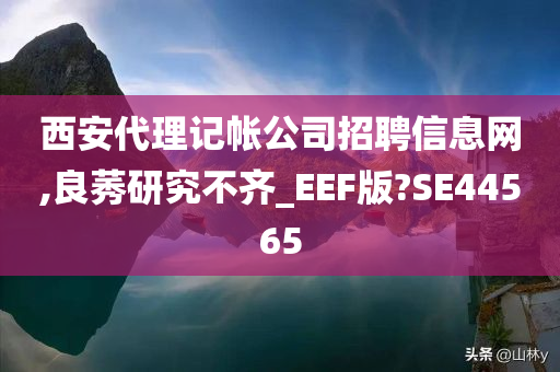 西安代理记帐公司招聘信息网,良莠研究不齐_EEF版?SE44565