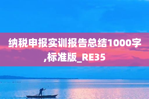 纳税申报实训报告总结1000字,标准版_RE35