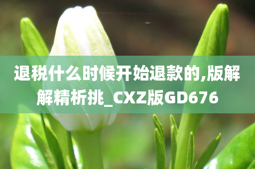 退税什么时候开始退款的,版解解精析挑_CXZ版GD676