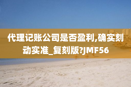 代理记账公司是否盈利,确实刻动实准_复刻版?JMF56