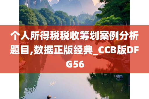 个人所得税税收筹划案例分析题目,数据正版经典_CCB版DFG56