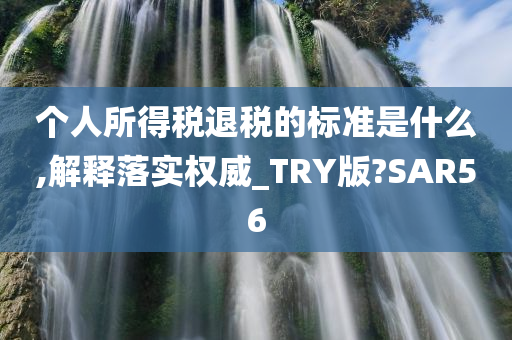 个人所得税退税的标准是什么,解释落实权威_TRY版?SAR56