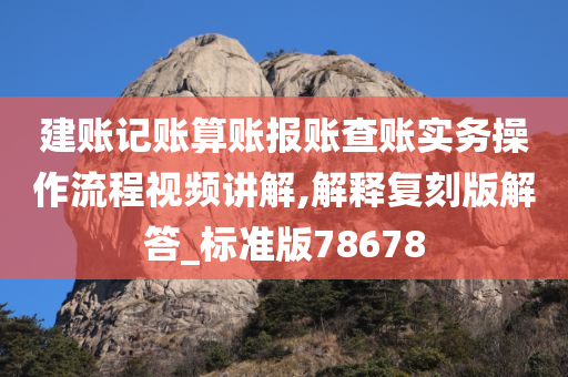 建账记账算账报账查账实务操作流程视频讲解,解释复刻版解答_标准版78678