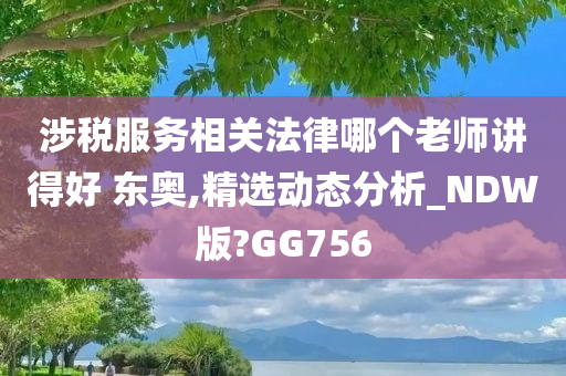 涉税服务相关法律哪个老师讲得好 东奥,精选动态分析_NDW版?GG756