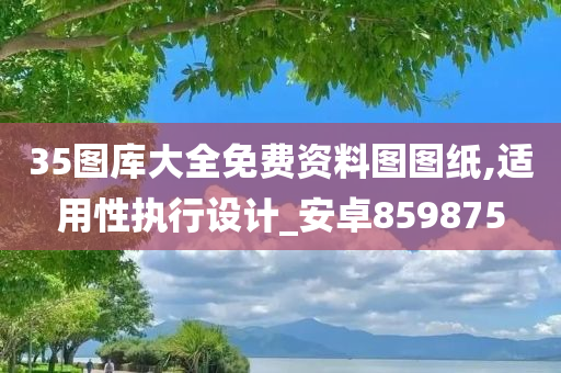 35图库大全免费资料图图纸,适用性执行设计_安卓859875