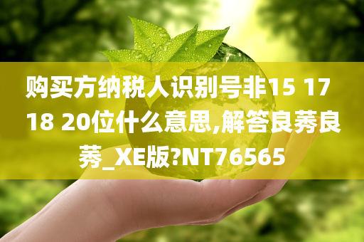 购买方纳税人识别号非15 17 18 20位什么意思,解答良莠良莠_XE版?NT76565