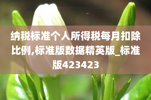 纳税标准个人所得税每月扣除比例,标准版数据精英版_标准版423423