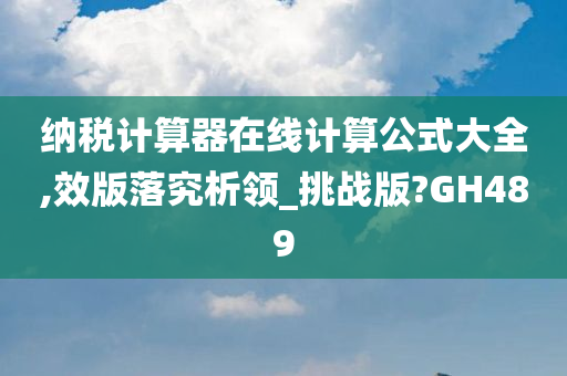 纳税计算器在线计算公式大全,效版落究析领_挑战版?GH489