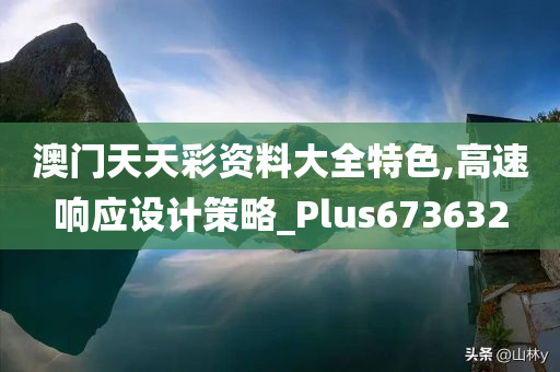 澳门天天彩资料大全特色,高速响应设计策略_Plus673632