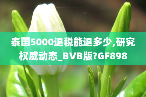 泰国5000退税能退多少,研究权威动态_BVB版?GF898