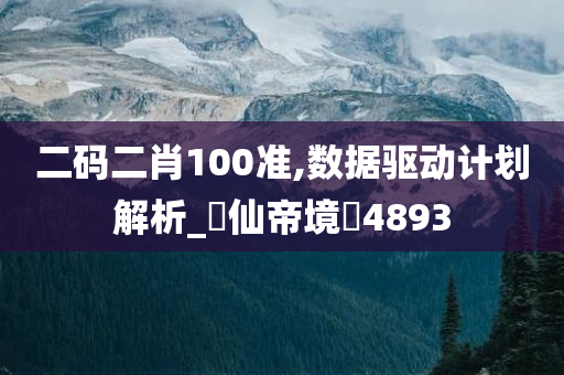 二码二肖100准,数据驱动计划解析_‌仙帝境‌4893