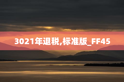 3021年退税,标准版_FF45