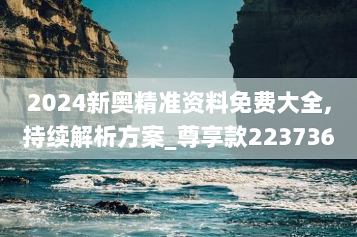 2024新奥精准资料免费大全,持续解析方案_尊享款223736