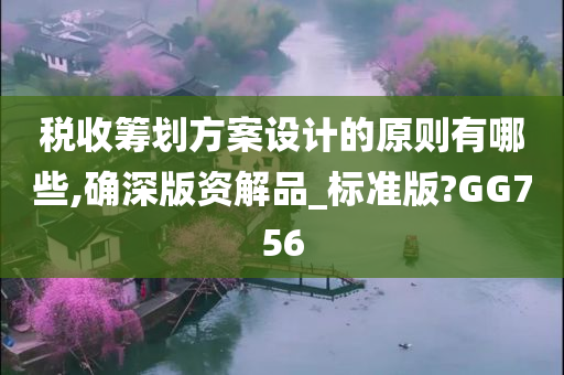 税收筹划方案设计的原则有哪些,确深版资解品_标准版?GG756