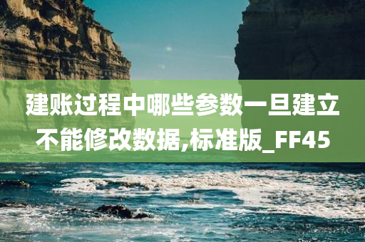 建账过程中哪些参数一旦建立不能修改数据,标准版_FF45