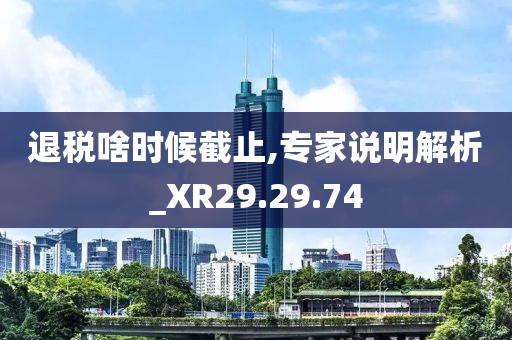 退税啥时候截止,专家说明解析_XR29.29.74