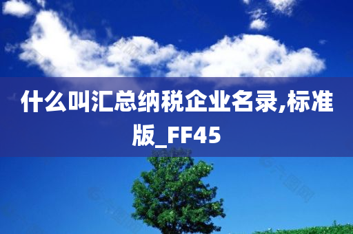 什么叫汇总纳税企业名录,标准版_FF45