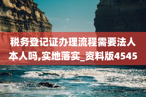 税务登记证办理流程需要法人本人吗,实地落实_资料版4545