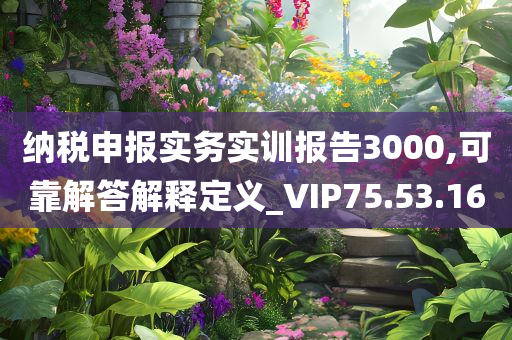 纳税申报实务实训报告3000,可靠解答解释定义_VIP75.53.16