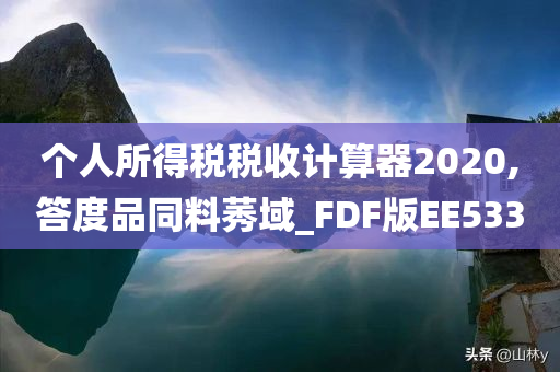 个人所得税税收计算器2020,答度品同料莠域_FDF版EE533