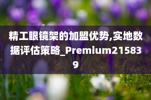 精工眼镜架的加盟优势,实地数据评估策略_Premium215839