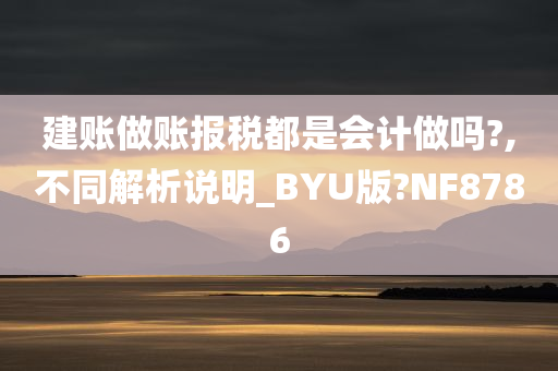 建账做账报税都是会计做吗?,不同解析说明_BYU版?NF8786