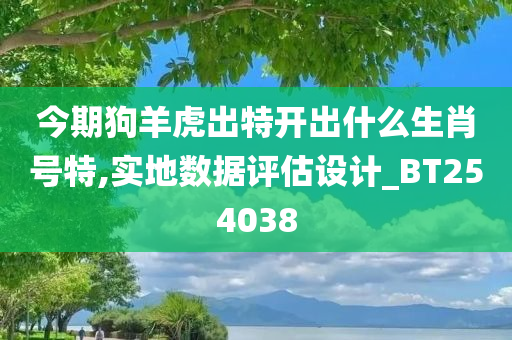 今期狗羊虎出特开出什么生肖号特,实地数据评估设计_BT254038