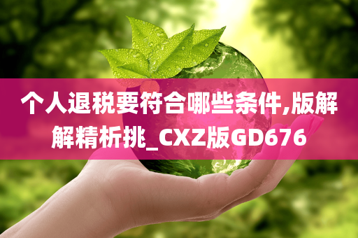 个人退税要符合哪些条件,版解解精析挑_CXZ版GD676